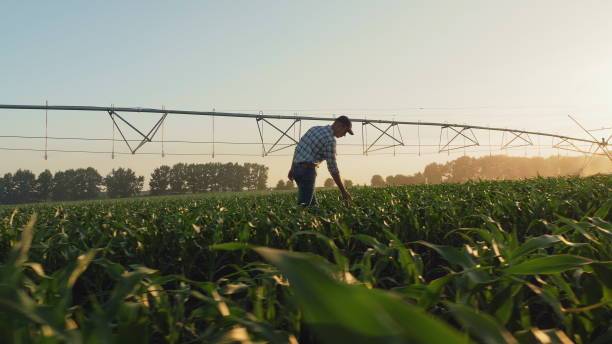 Optimisez les coûts de vos traitements agricoles