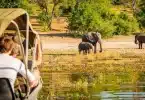 On vous dit tout sur comment faire un safari en Namibie