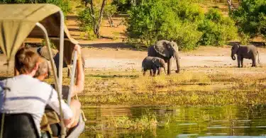 On vous dit tout sur comment faire un safari en Namibie