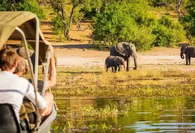 On vous dit tout sur comment faire un safari en Namibie