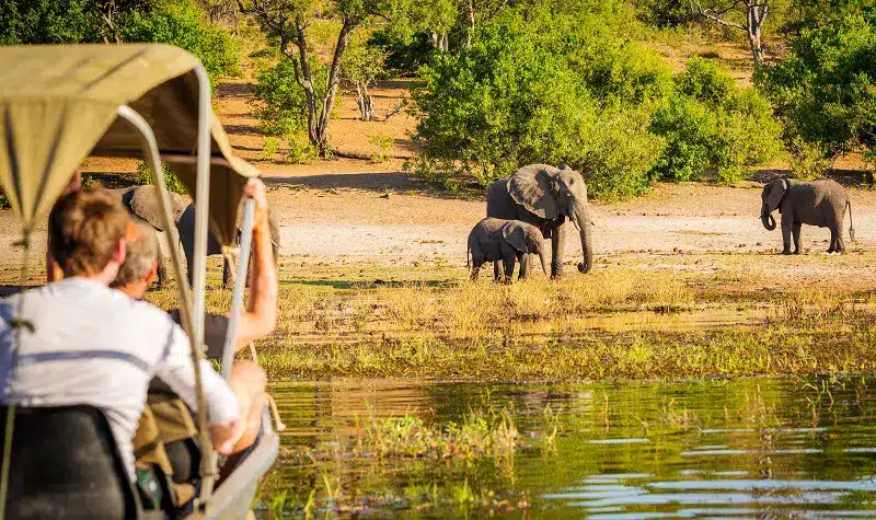 On vous dit tout sur comment faire un safari en Namibie