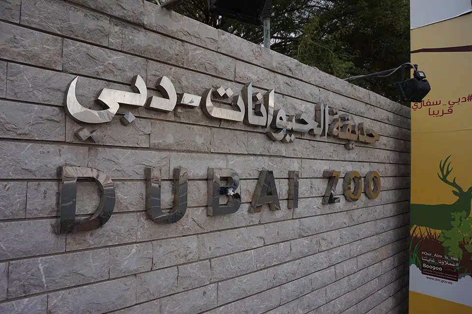 Zoo Dubai