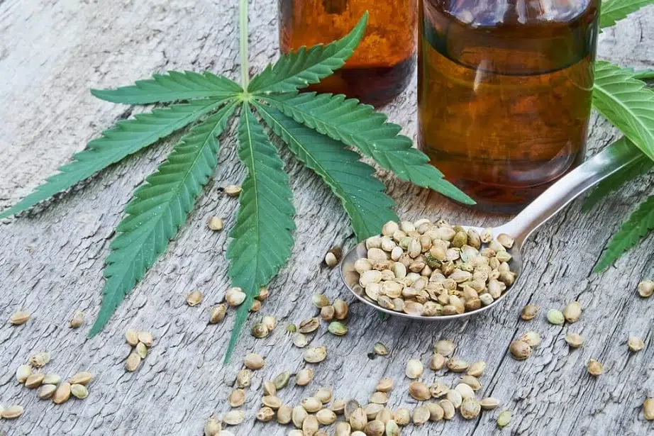 Graines de cannabis comestible